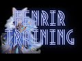 DPS Fenrir Magic Prison Gameplay Episode 5