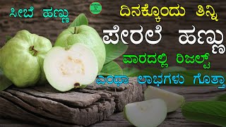 ದಿನಕ್ಕೆ 1 ಸೀಬೆ ( ಪೇರಲೆ ) ಹಣ್ಣು ತಿಂದರೆ 1 ವಾರದಲ್ಲಿ ಆಶ್ಚರ್ಯ ರಿಜಲ್ಟ್ | Health Benefits of Guava Fruit