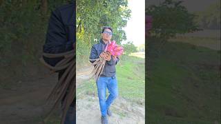 ৫ আগস্টের পর সবকিছু পরিবর্তন #shortvideo