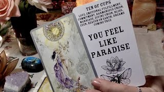 pick a card💭💞 their deepest thoughts about you currently💞 💭(timeless love reading)