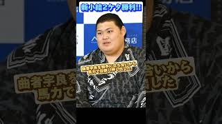 新小結大の里10勝目【大相撲夏場所13日目】