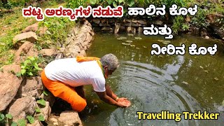 ವಿಸ್ಮಯ ಕೊಳಗಳು | ಹಾಲಿನ ಕೊಳ ಮತ್ತು ನೀರಿನ ಕೊಳ | Deep forest explore | milk pond 🙄🙄