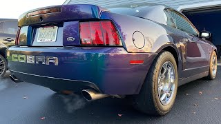 Cammed Cobra Pure Sound | 2004 SVT Cobra Stage 3 Comp Cams + Borla Exhaust