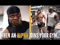 When an Alpha joins your Gym... (With Armz Korleone + Outtakes)