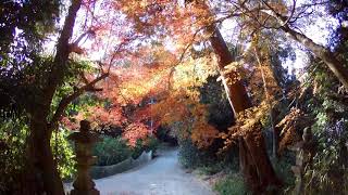 2021 12 15　大兵主神社