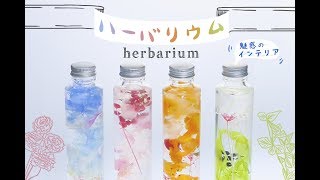 【DIY 】【INTERIOR 】HOW TO make a herbarium♡お花＆ボトルの「ハーバリウム」で日頃の疲れをリフレッシュ♡