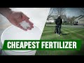 Cheapest Fertilizer For Your Lawn   Back Yard Update!