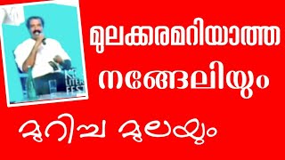 Has Nangeli cut her breast in history?Nangeli story in Kerala|c ravichandran speech