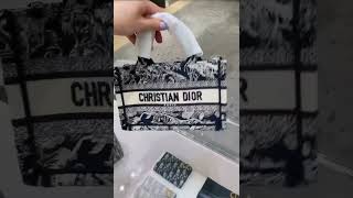 디올 DIOR Mini Dior Book Tote S5573CRGO_M912#S5573CRGO_M928#www.rose-lux.com