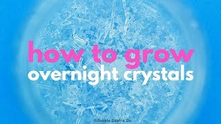 How to Grow Crystals Overnight
