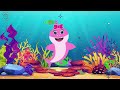 baby shark doo doo doo baby shark sing and dance babyshark most viewed video animal songs