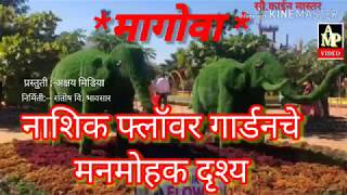 नाशिक फ्लॉवर गार्डनचे मनमोहक दृश्य...(२)/ Beautiful view of Nashik flower garden ...(2)