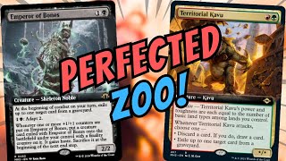 PERFECTING Domain ZOO Build! NEW STOCK ZOO? | MTGO