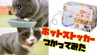 猫は温めたフードのほうがよく食べるって本当？検証してみた結果