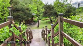 2020.05.15 비오는 별내동 숲길 랜선 산책