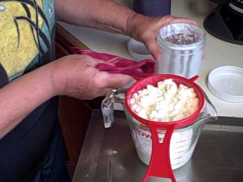 Storing Kefir Grains Storing Kefir Grains