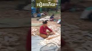 កាប់ដំឡូងទៀតហើយ#shorts