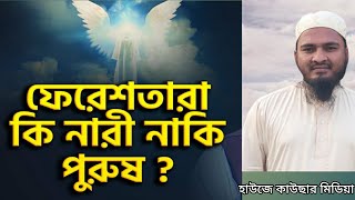 ফেরেশতারা নারী নাকি পুরুষ,ফেরেশতা, ফেরেশতারা ছেলে নাকি মেয়ে,হাউজে কাউছার মিডিয়া,feresta man or women