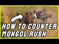 Age of Empires 4 -  How to Counter Mongol Rush!