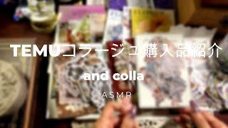 【ASMR】TEMUコラージュ購入品紹介