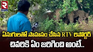 Elephant Rampage Caught On Cam : అడవి లో ఏనుగు వీరంగం.. సాహసం చేసిన RTV రిపోర్టర్.. | @rtvguntur