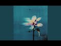 Echoform