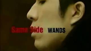 WANDS 「Same Side」 (TV-SPOT CM, 1995)