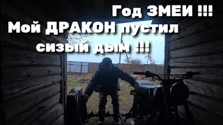 Год ЗМЕИ !!! МОЙ ДРАКОН пустил сизый дым !!!