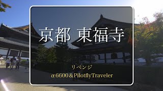 α6600とPilotflyTravelerで東福寺　リベンジ撮影してきました