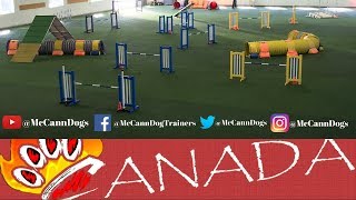 Dog Agility 2018 TRYOUTS FOR EO/AWC CKC AGILITY TEAM CANADA