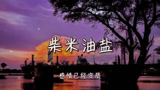 任夏| 柴米油鹽『愛情不過是人生點綴，自信的你怎樣都很美 』【高音質 動態歌詞/PinyinLyrics】