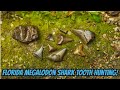 Megalodon Shark Tooth Hunting in Florida | Digging in the Creek for Fossils!