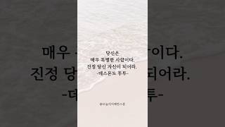 “세상의 지혜를 매일 만나다.”054