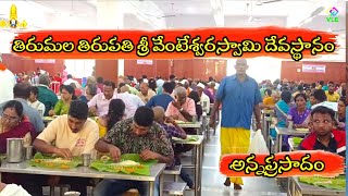 TTD ANNAPRASADAM | FREE MEALS @ TIRUMALA | INDIA'S NO 1 |BIGGEST KITCHEN | AMAZING FOOD...