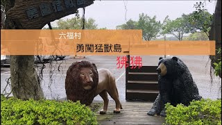 六福村勇闖猛獸島 狒狒