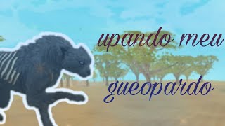 wildcraft - upando meu guepardo / yKarma