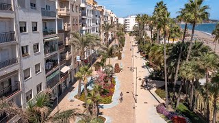 El Ayuntamiento recibe el V Premio Málaga Viva por ‘Estepona, Jardín de la Costa del Sol’