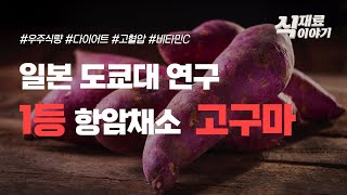 고구마가 1등 항암채소라는 사실을 아시나요?|당뇨인들은 군고구마 보다는 생고구마를 드시는게 좋습니다