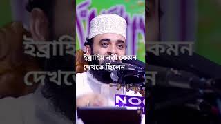 ইব্রাহিম নবী কেমন দেখতে ছিলেন#Allahuakbar #islam #shorts