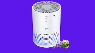 Before You Buy TOPPIN HEPA Air Purifiers for Home - with Fragrance Sponge UV Light