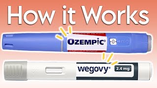 How Ozempic Works - Diabetes & Weight Loss Explained