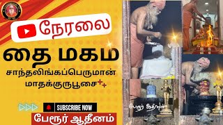 பேரூர் ஆதீனம் | Perur Aadheenam is live