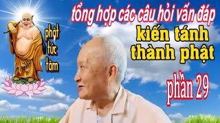 tổng hợp các câu hỏi vấn đáp kiến tánh thành phật - phần 29 - Ông Năm