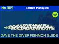 DAVE THE DIVER FishMon Guide - Spotted Moray Eel