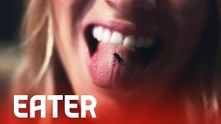 Ants for Dinner - Consumed Ep. 3