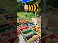 video viral lambakan durian tak laku apa sudah jadi