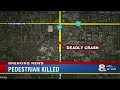 Pedestrian fatally struck by vehicle in Tampa