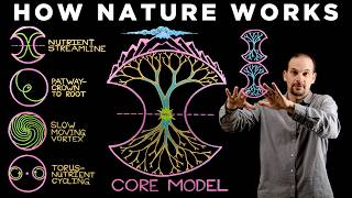How to See the Hidden Patterns of Nature