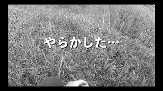 釣り場に到着して2分で絶望… 編【サーフシーバス】