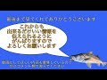 シーバスが釣れない原因になる10個の大事な事。シーバス初心者の人や始めたばかりの人に